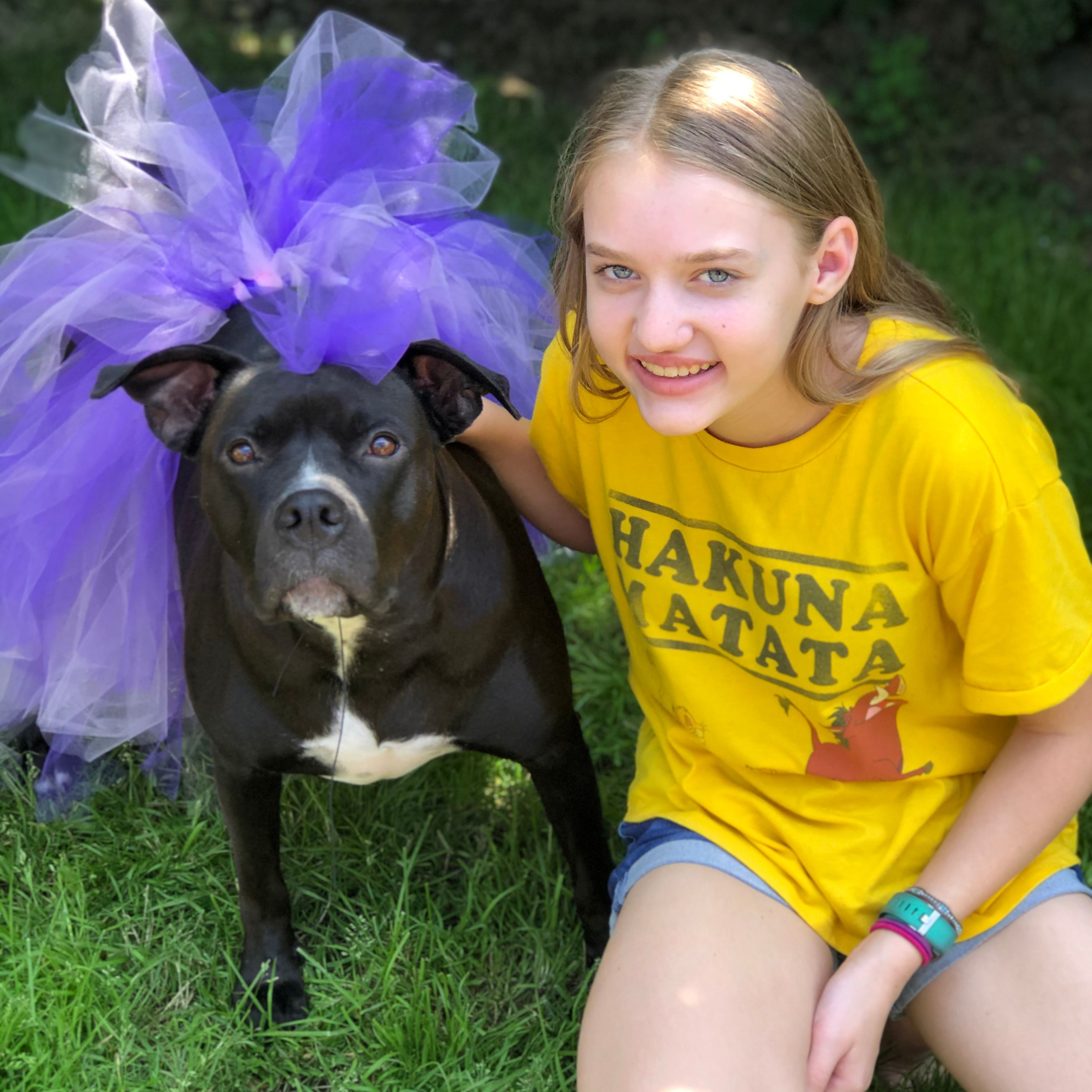 Dog in tutu